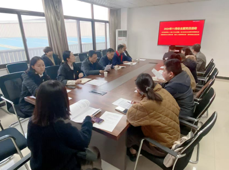 深入學(xué)習(xí)黨的二十屆三中全會(huì)精神，開(kāi)展主題黨日活動(dòng)